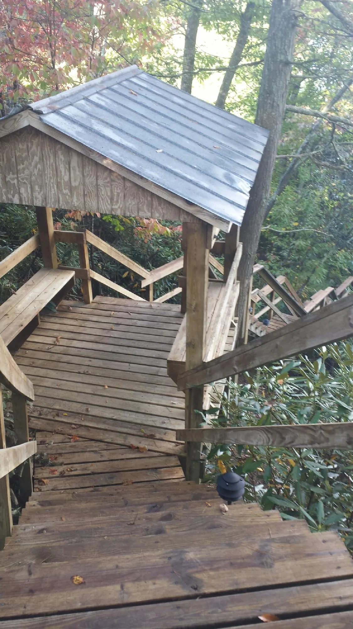 Metal roofed shelter over wooden steps on a wooded walkway — Skylight Repair & Installation work by our crew in Pawleys Island