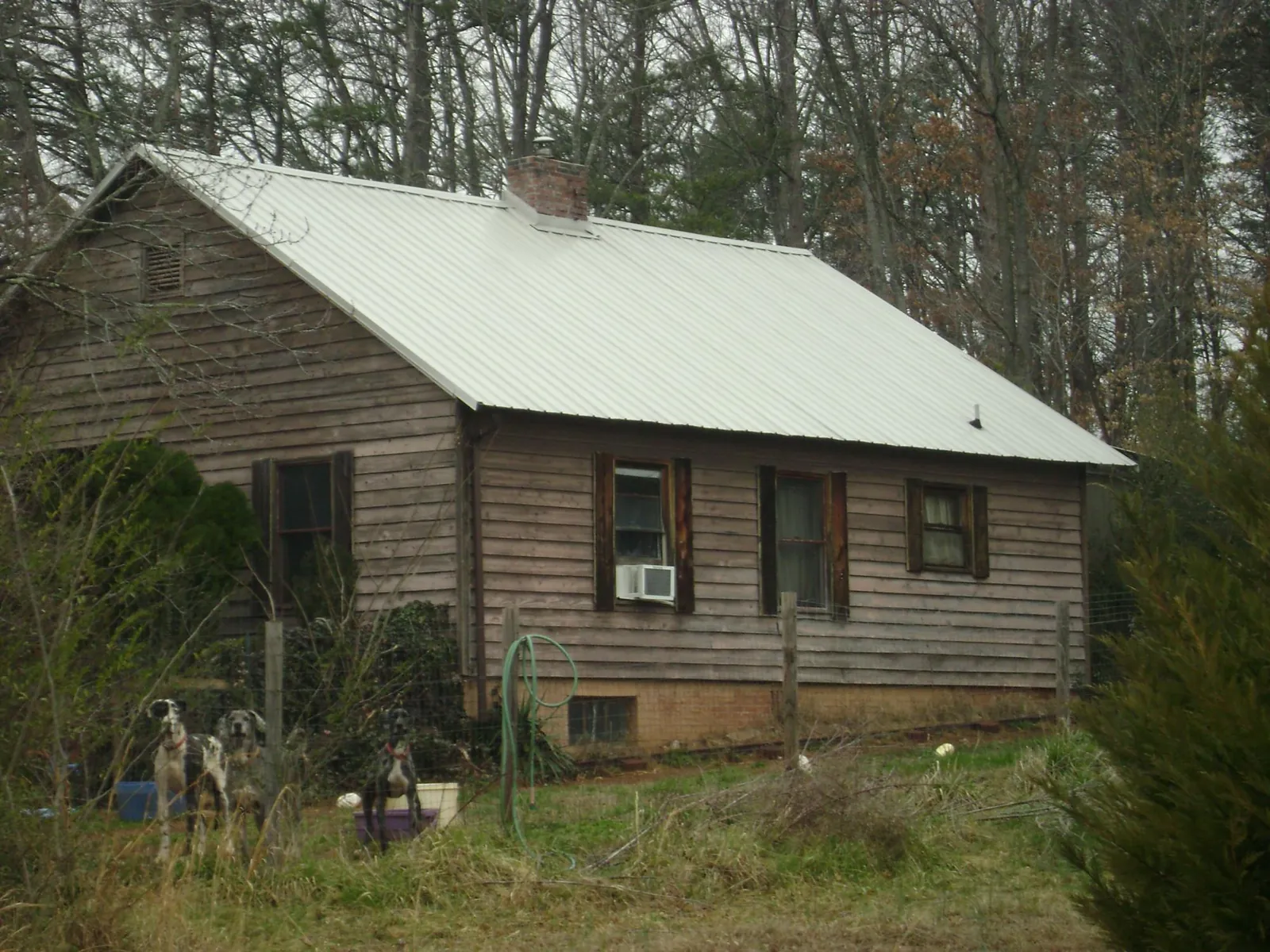 White metal roof on an old wood sided farmhouse in Pawleys Island
